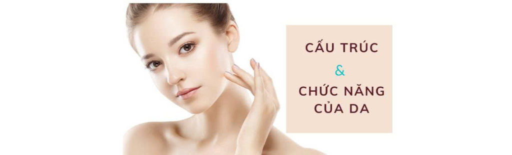 Da là gì? Cấu trúc & chức năng – Hiểu đúng làn da để chăm sóc khoa học và hiệu quả